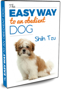 Easy Way Obedient Shih Tzu