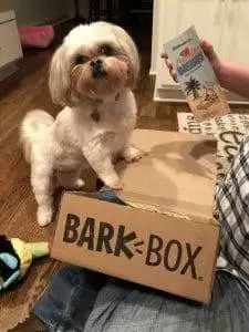 Shih Tzu BarkBox 1